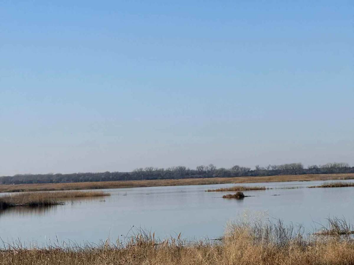 Little Salt Marsh Road photo 5