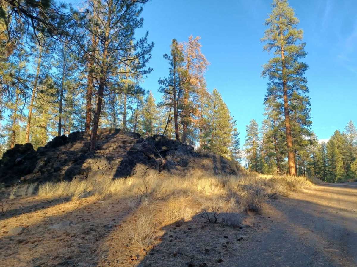 Flat Top photo 3