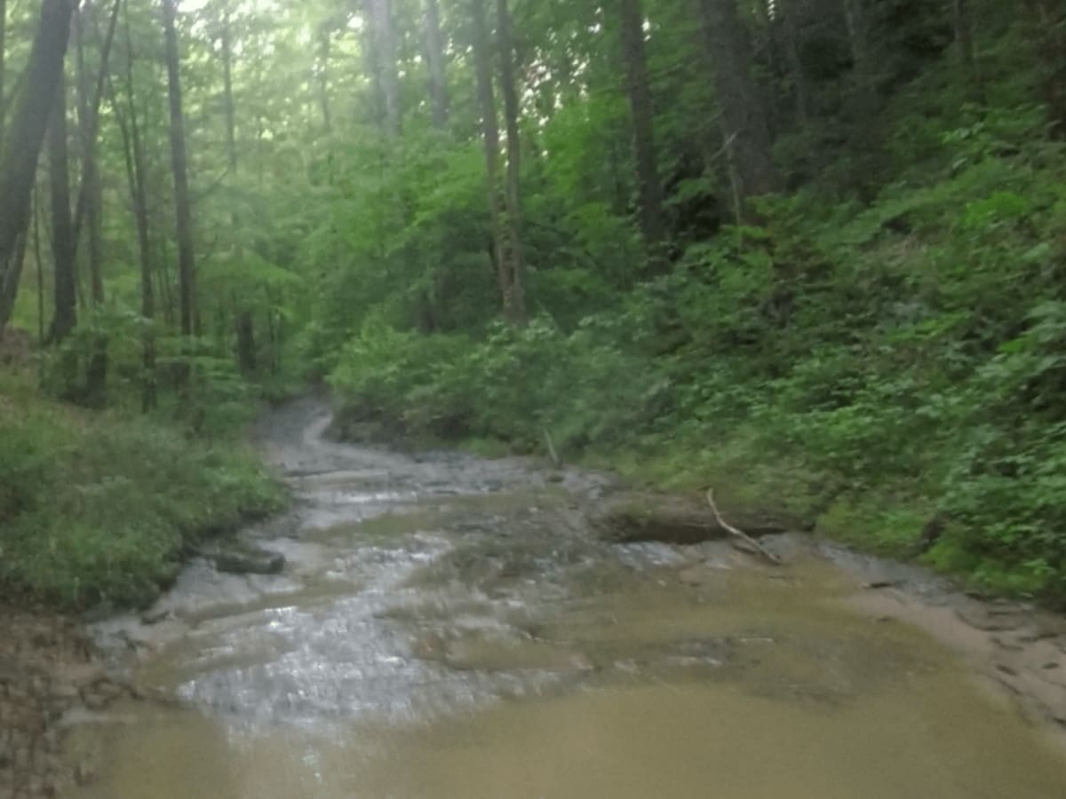Wrongturn Hill photo 4