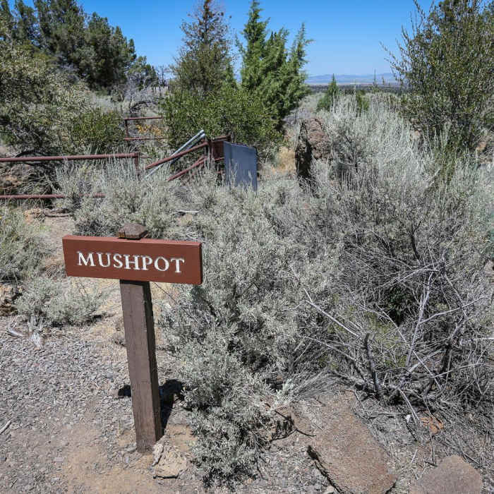 Near Mushpot Cave and Indian Well Cave