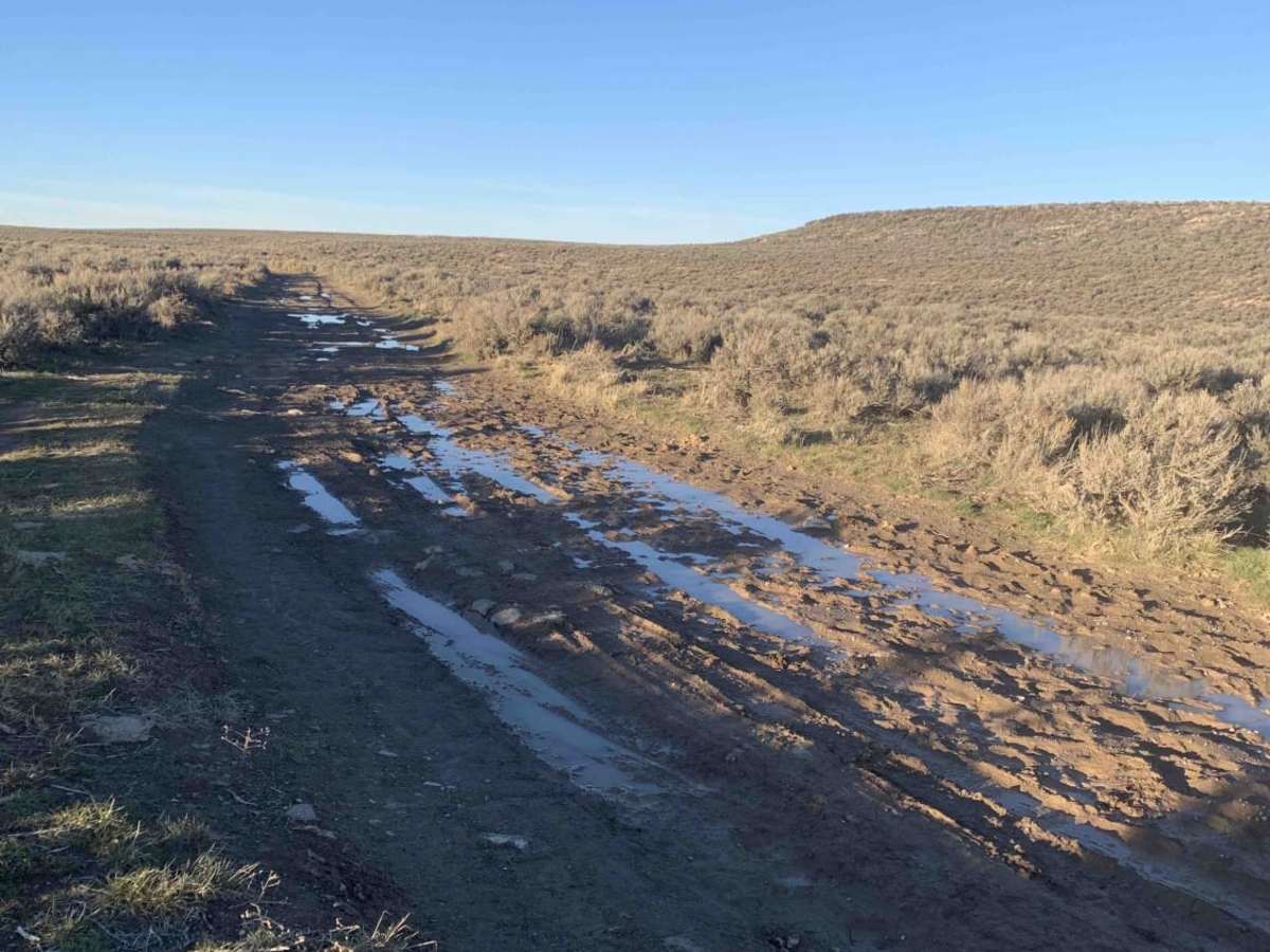 Whisky Slough Water Access photo 4