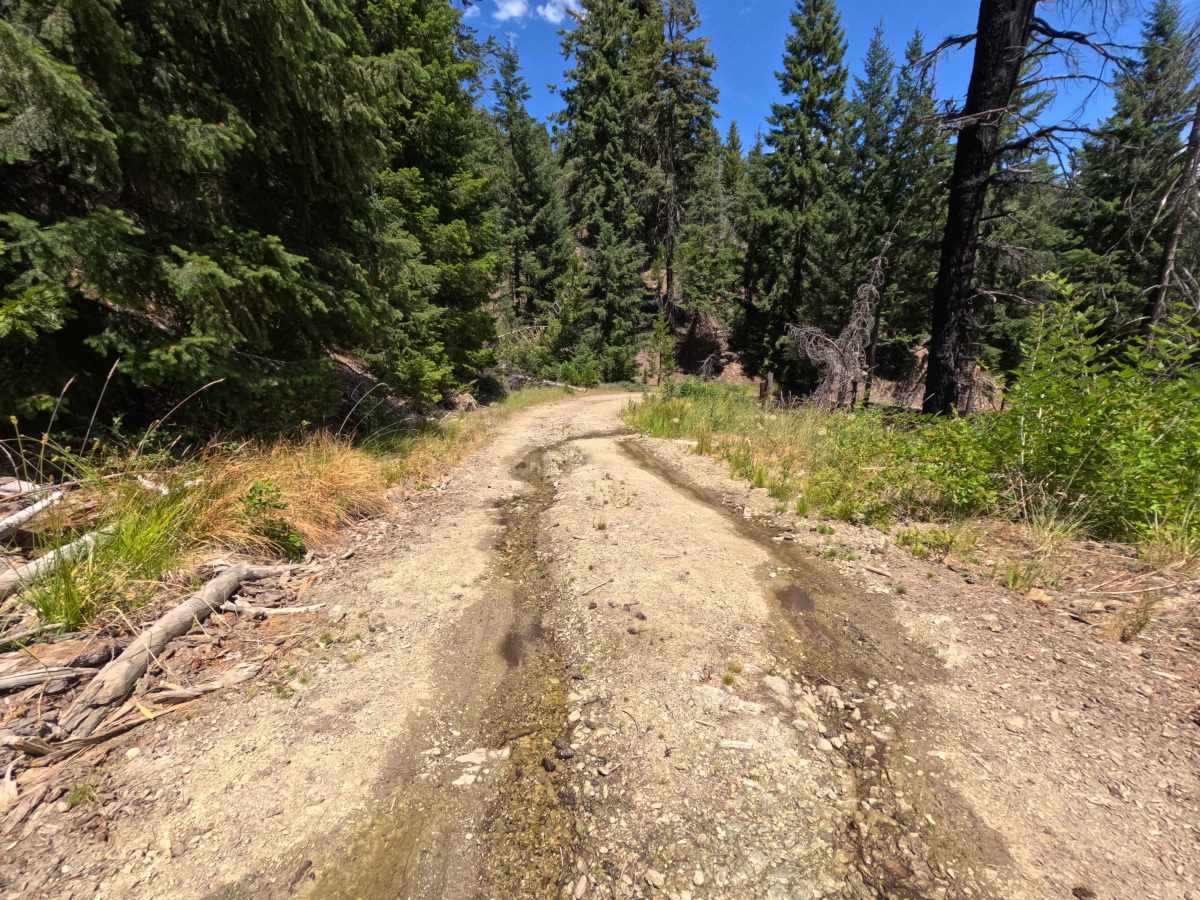 Rocky Cabin Spring - FS 24N40 photo 2