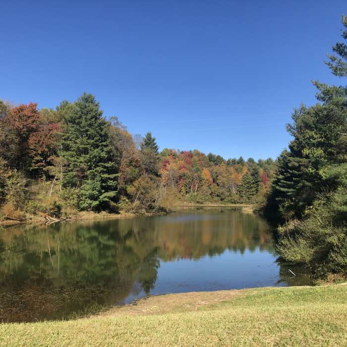 Near Upper Pond