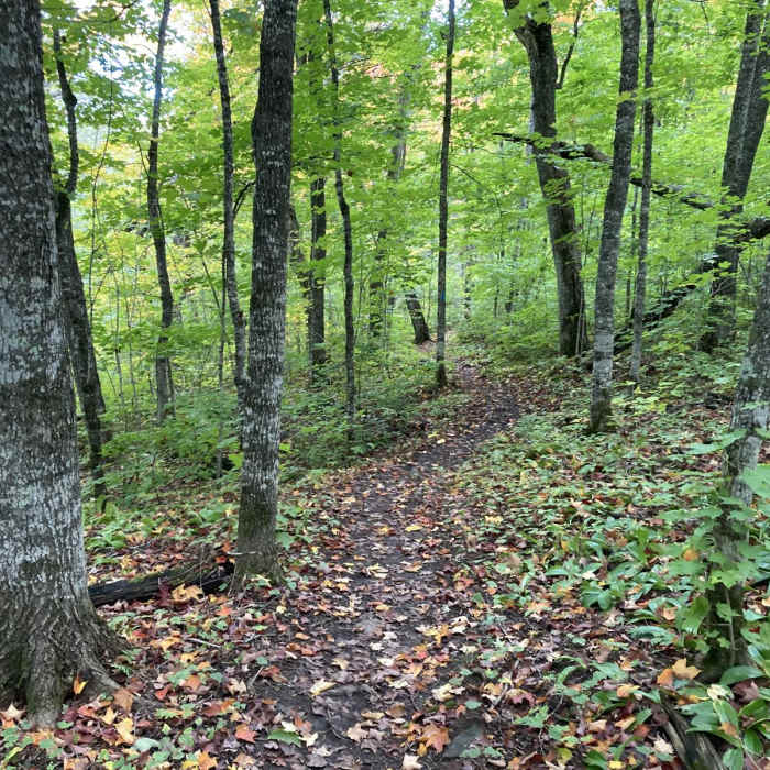 Near Hunters Rock via the Superior Hiking Trail Near Hunters Rock via the Superior Hiking Trail