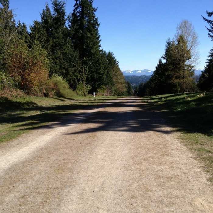 Looking East along the Tolt Pipeline; Cascade Mountains visible in the distance Near Tolt Pipeline Trail