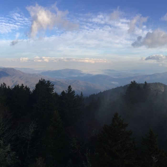 Near Mount Sterling Trail