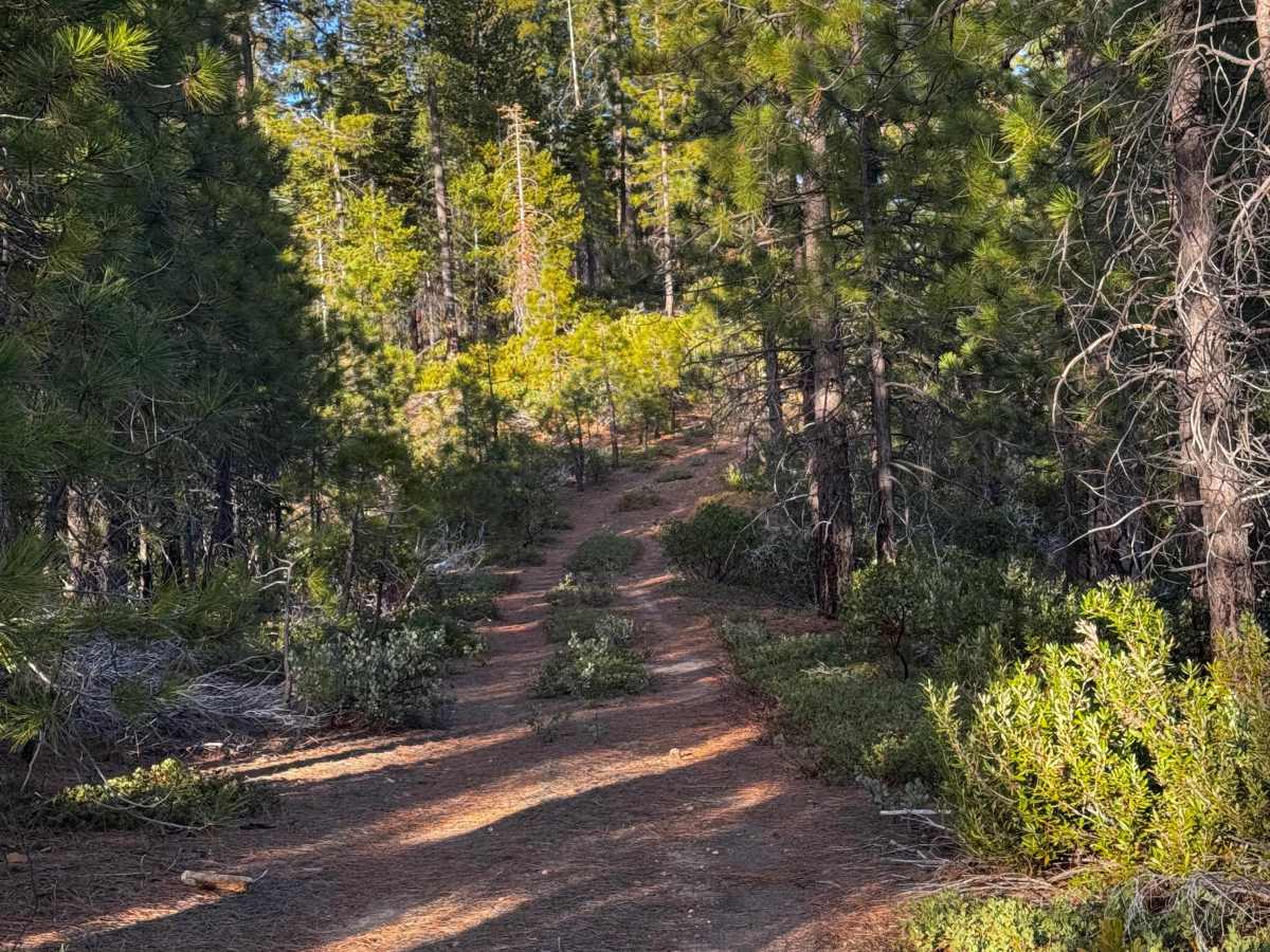 Lost Canyon photo 2