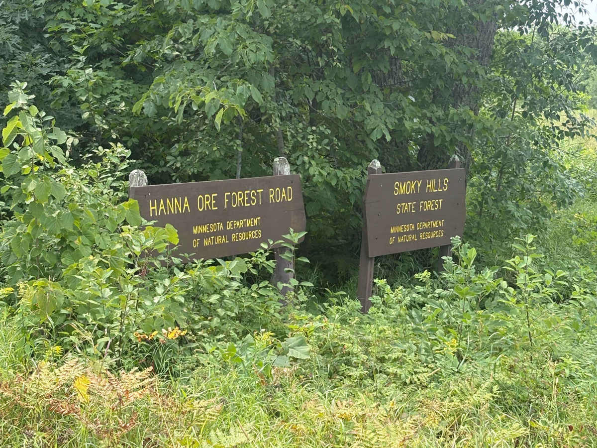 Hannah Ore Forest Road photo 2