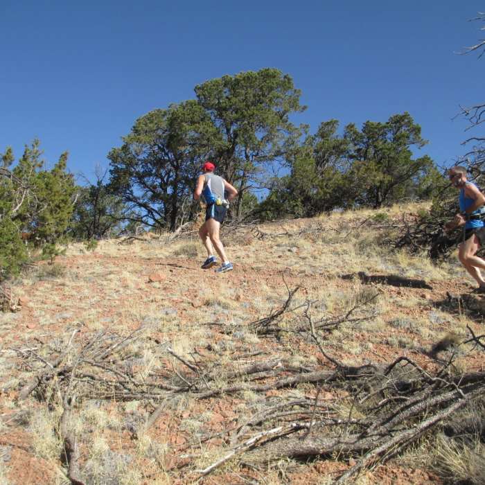 Near Dale Ball to Big T Campground