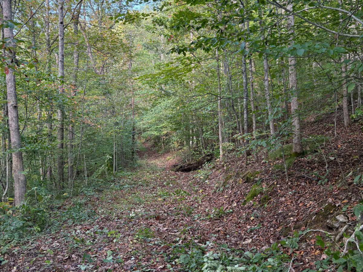 Trail 15 photo 4