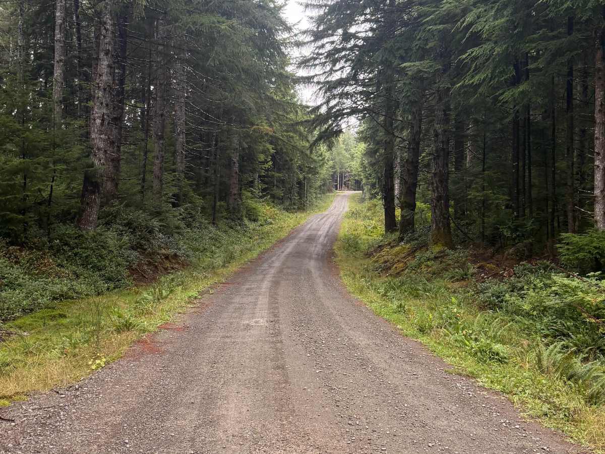 FRQ 3100 trail photo