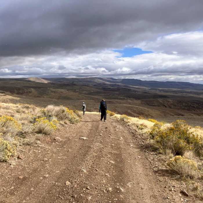 Near Fifteen Mile Road