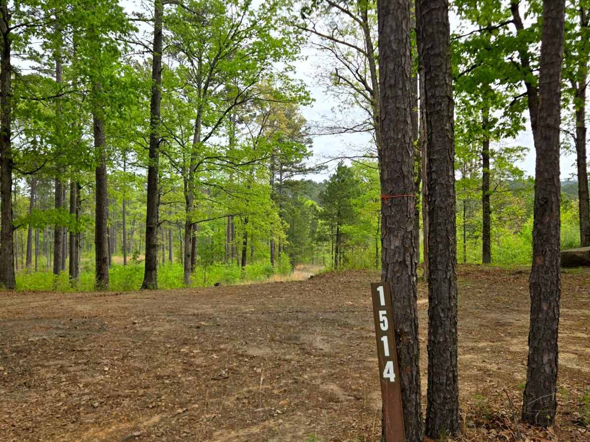 Firebreak Hunterwell photo 5