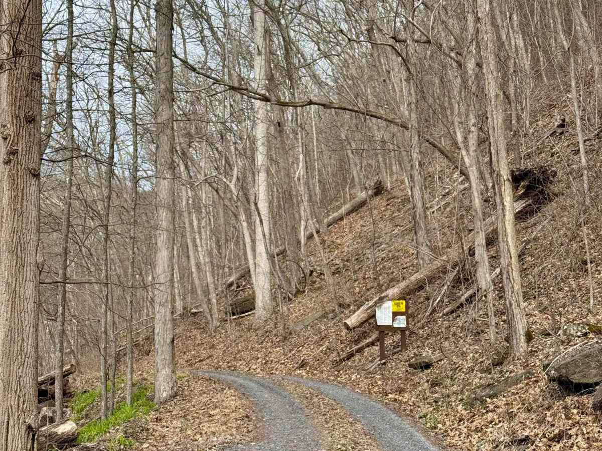 Mill Run Road photo 3