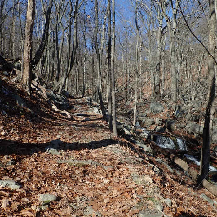 Near Pine Meadow Trail