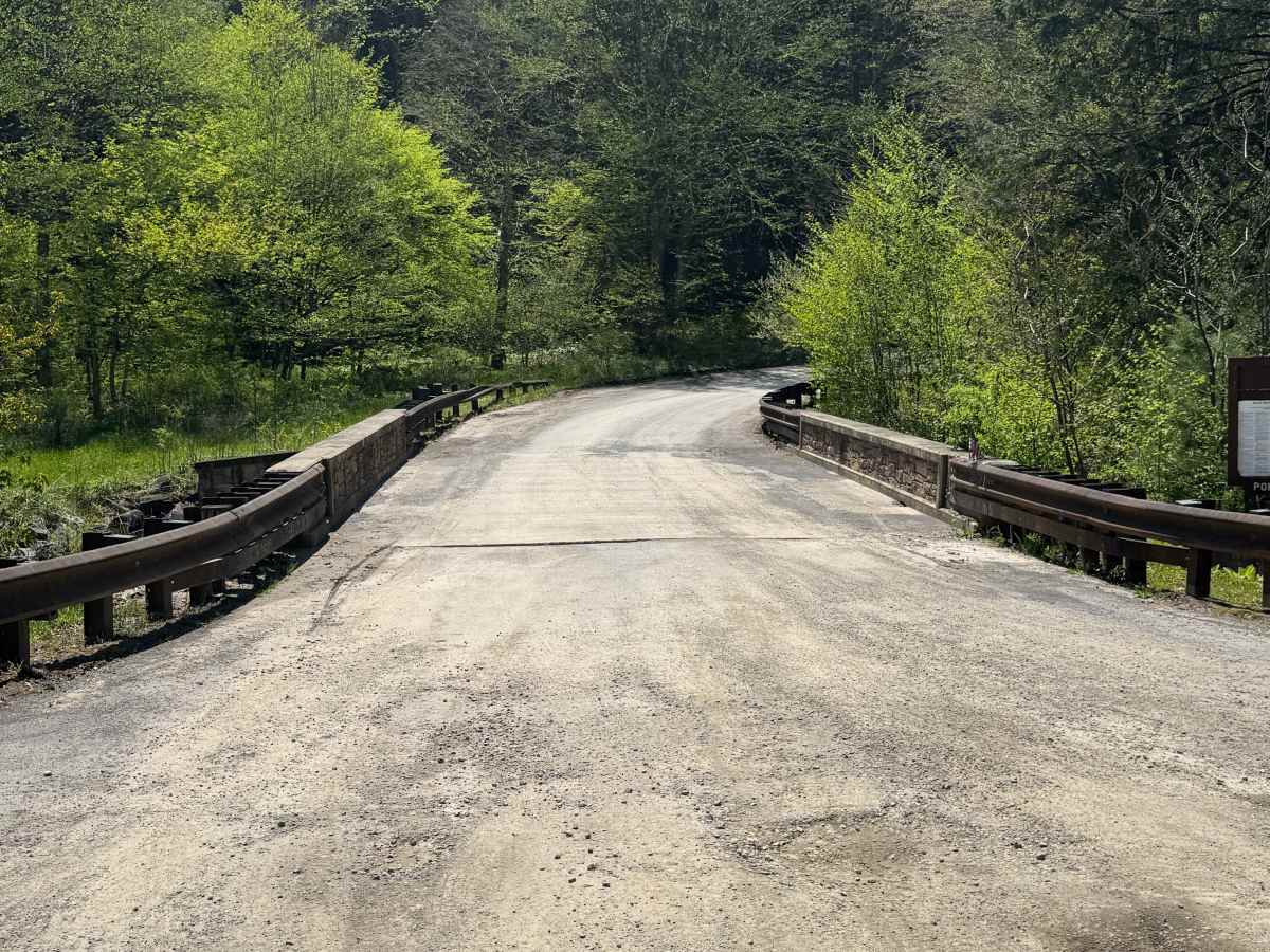 Porcupine Road photo 3