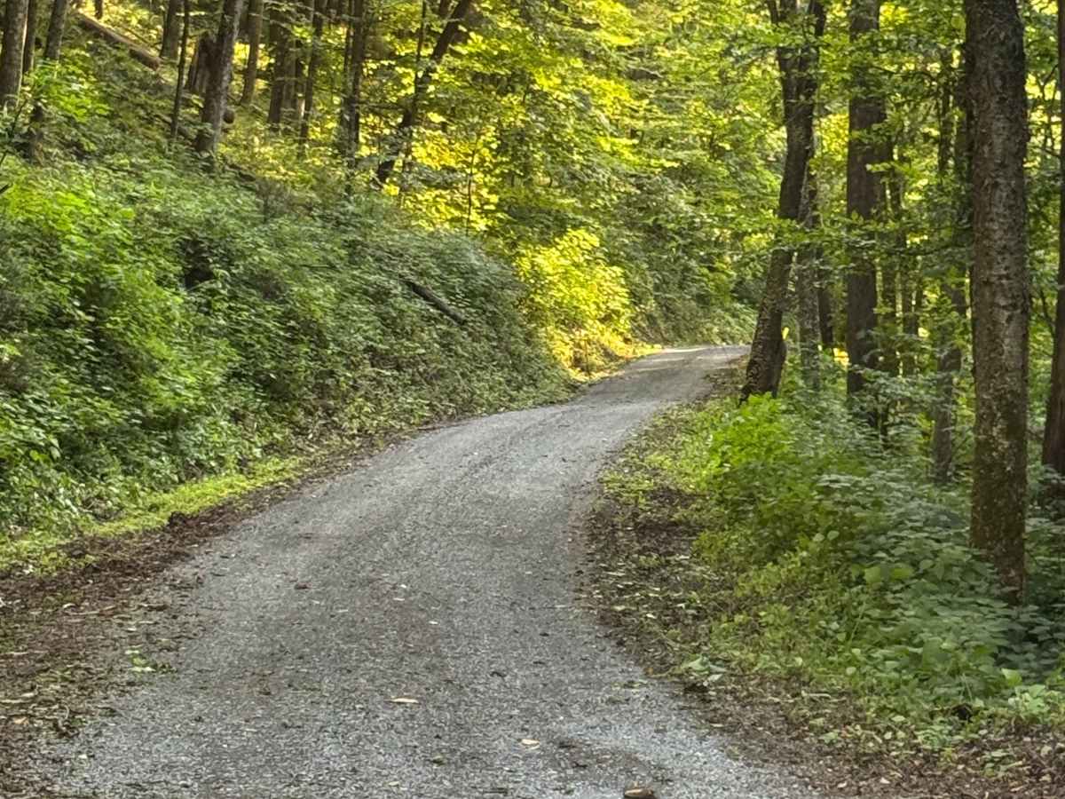 Dam Run Road photo 4
