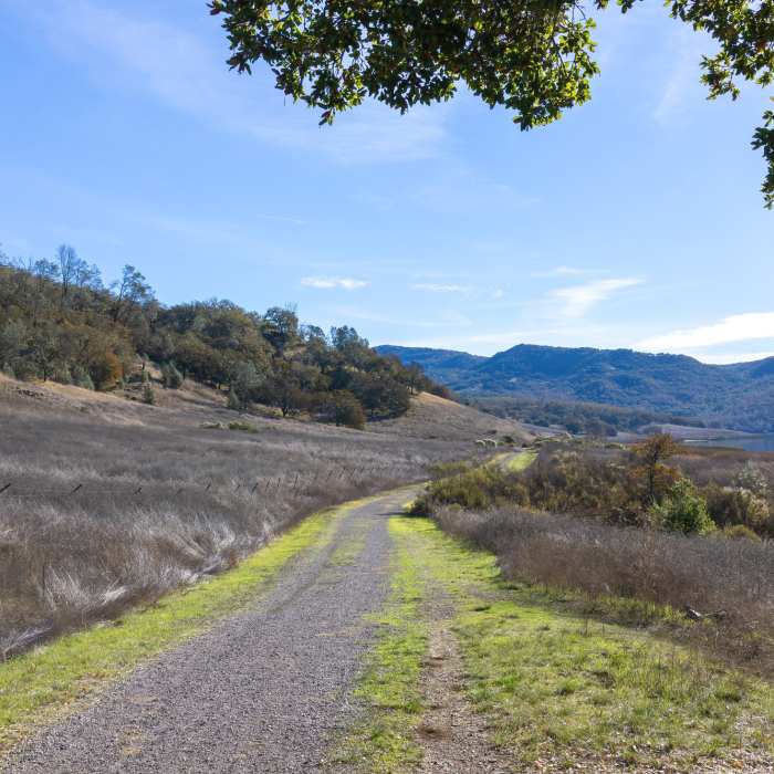 Near Shoreline Trail