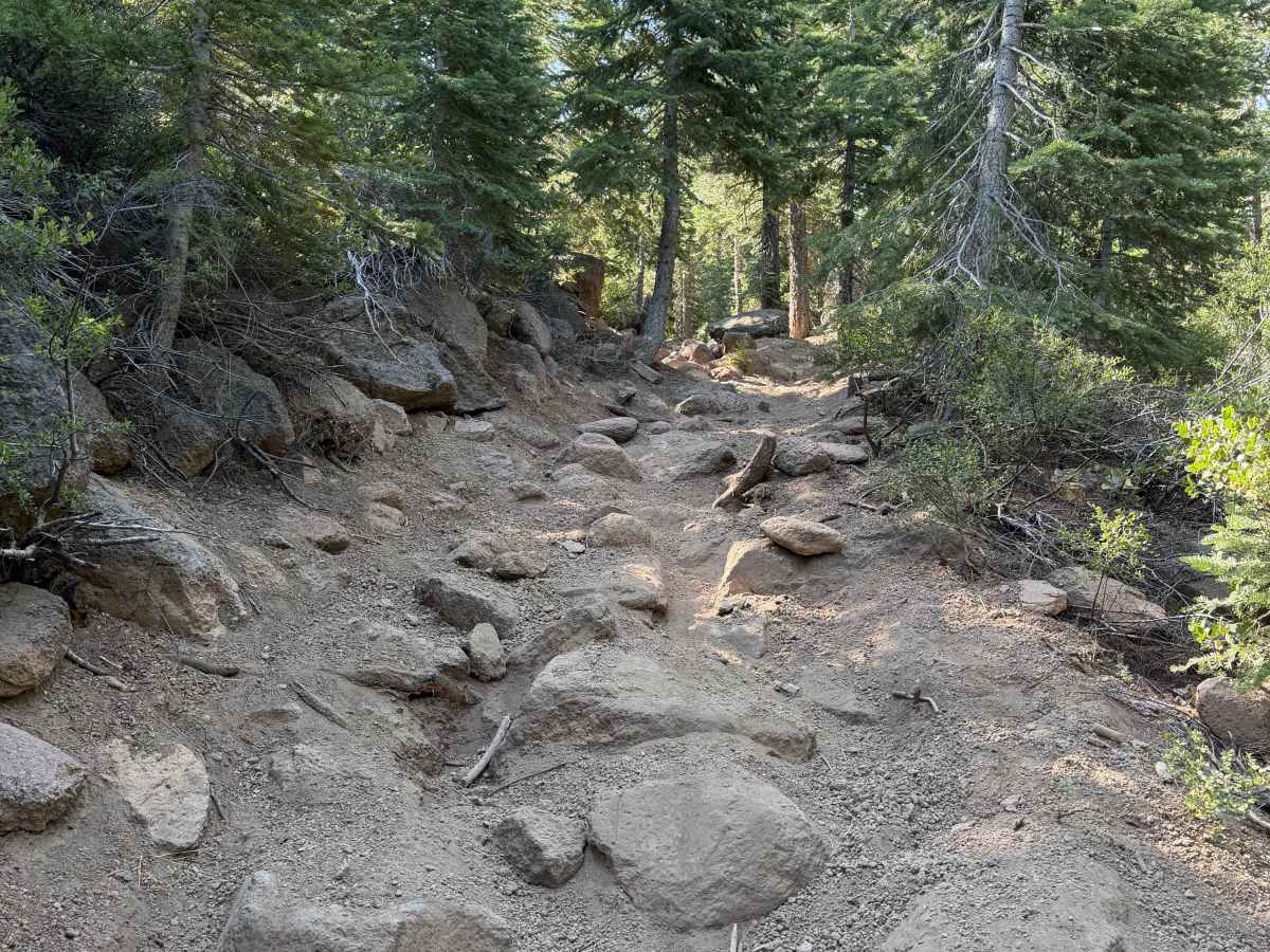 Lower Cena Lar Trail trail photo