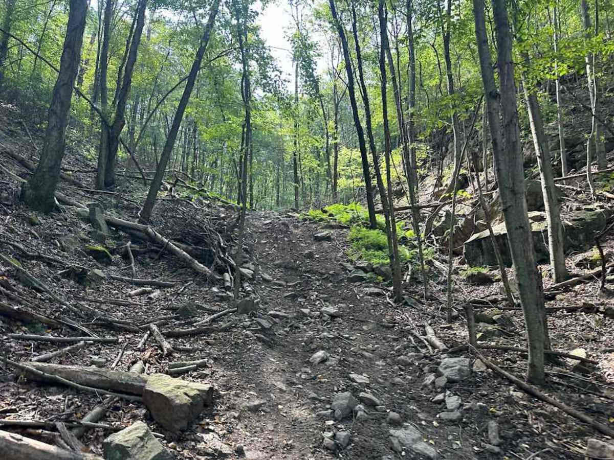 ATV Trail 81 photo 5