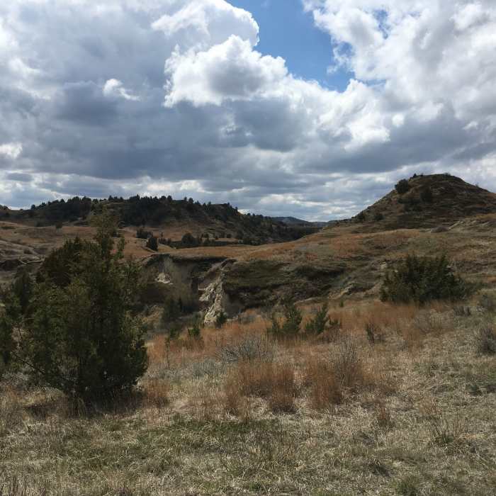 Near Jones/Lower Talkington/Lower Paddock Loop