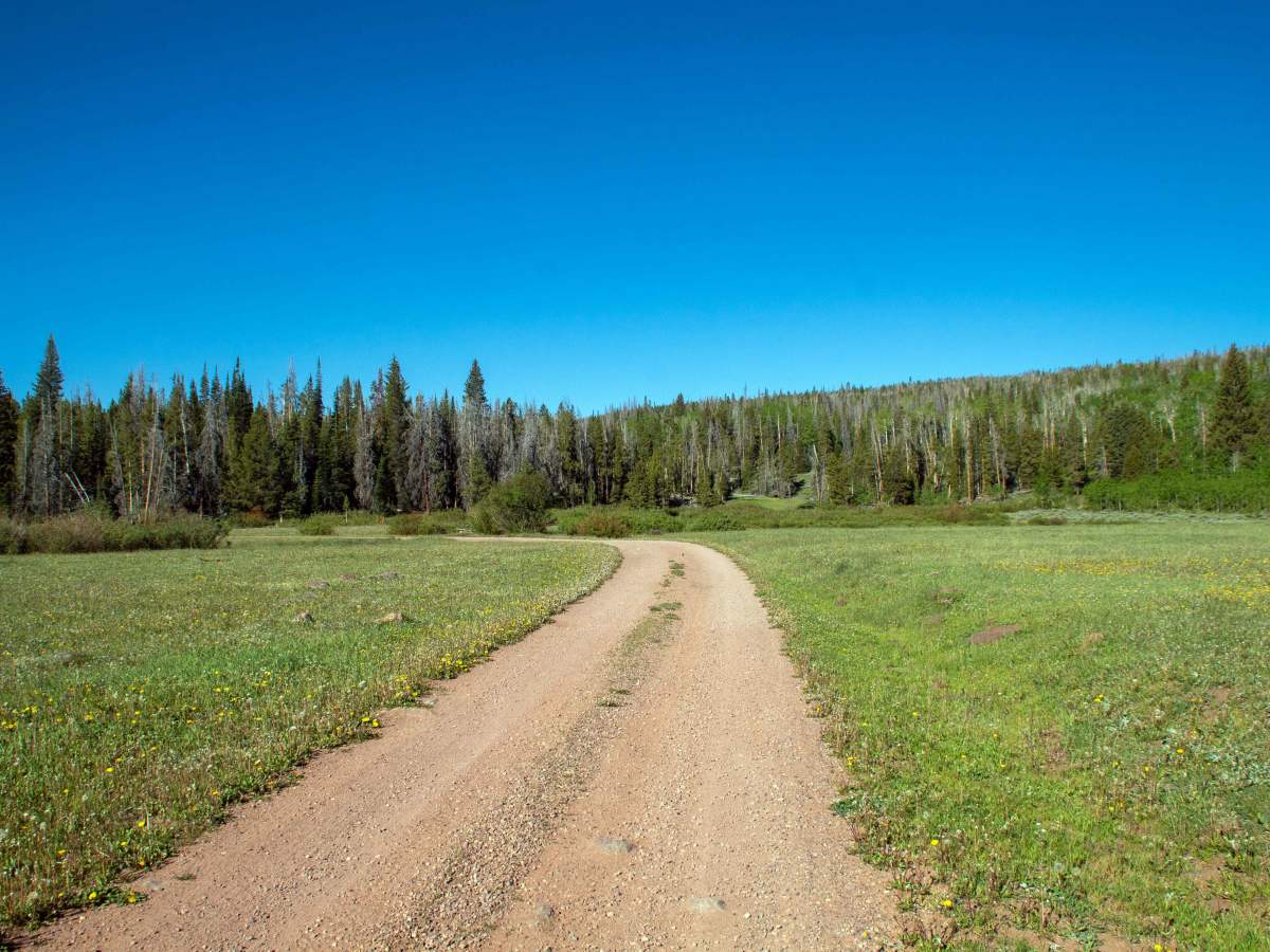 West Fork Smiths Fork - FS 80074 photo 6