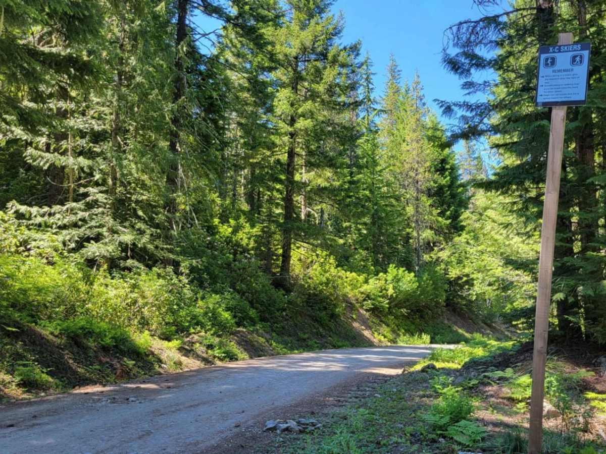 Still Creek Road trail photo