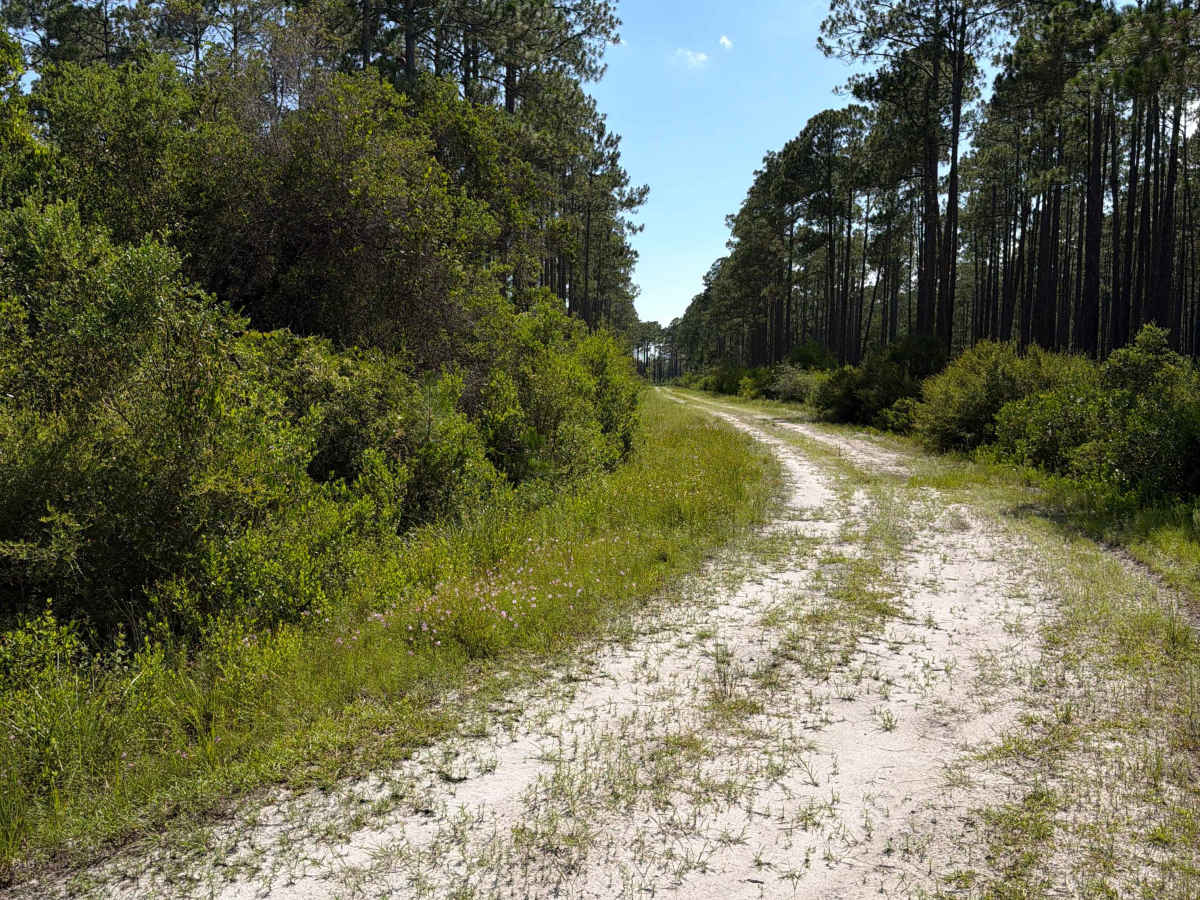 FS 320A trail photo