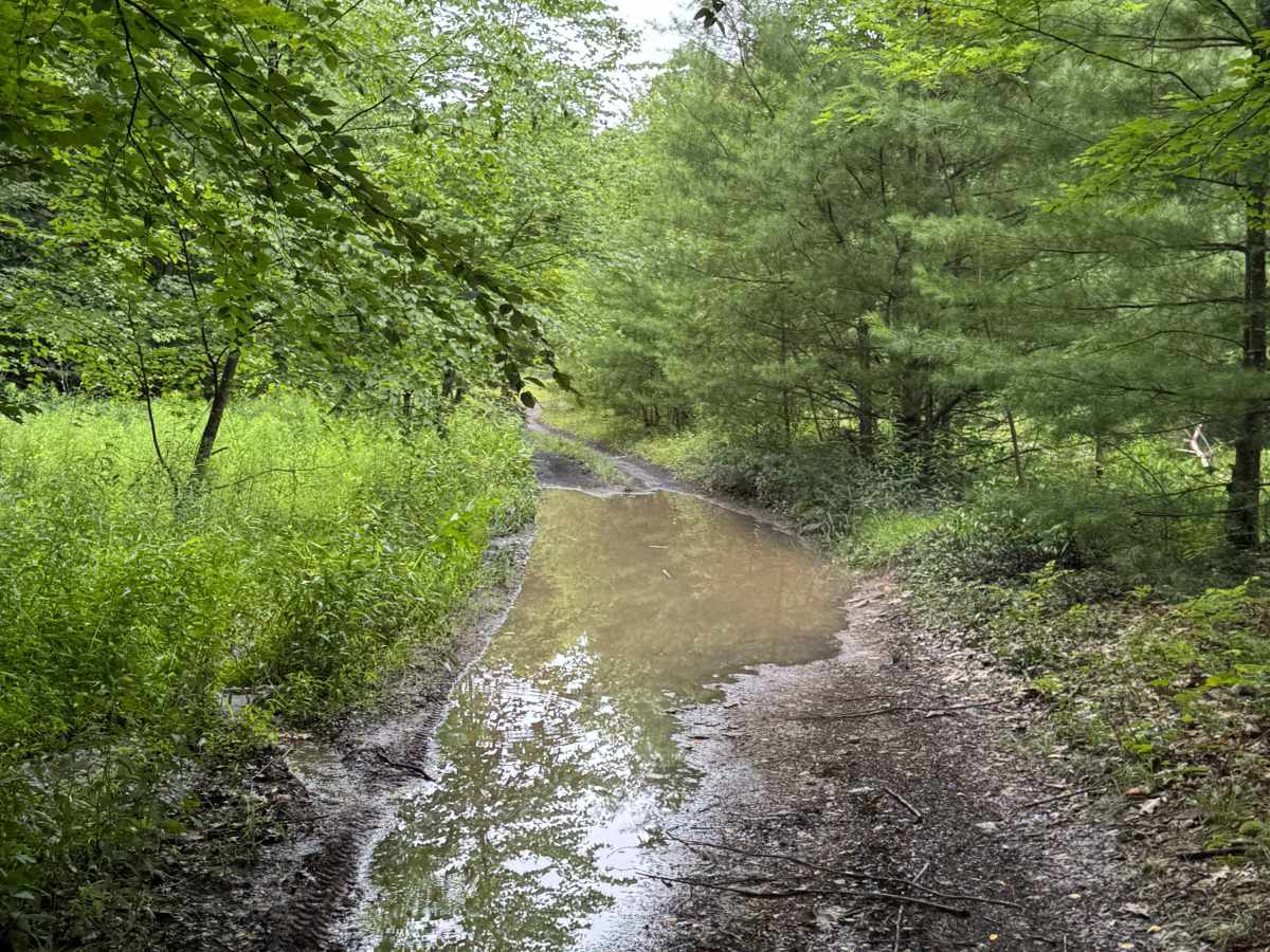 Trail 14 photo 5