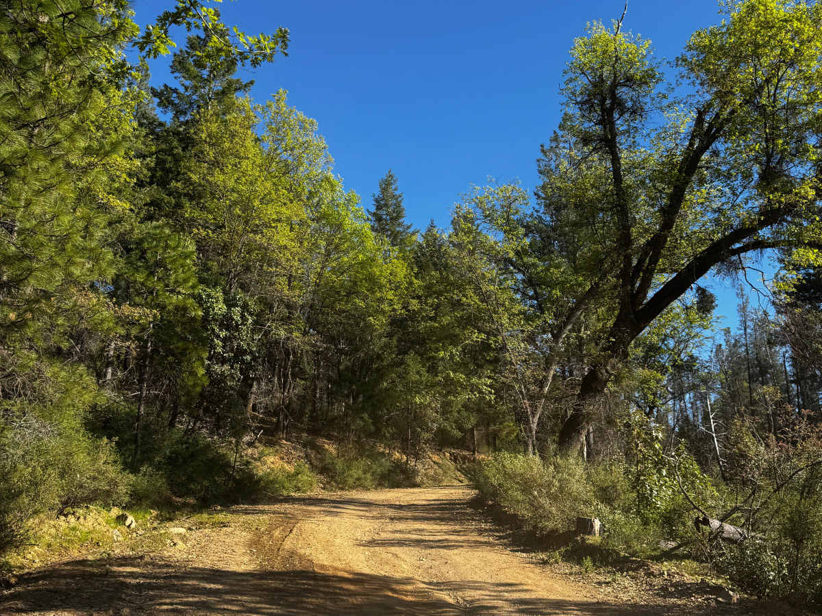 Bear Creek Road M10 photo 2