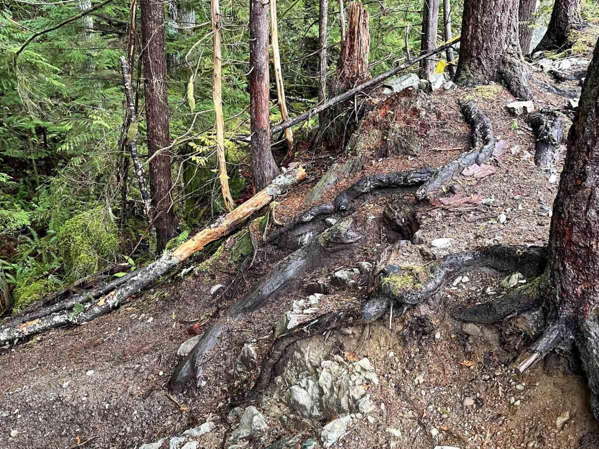 Widowmaker trail photo