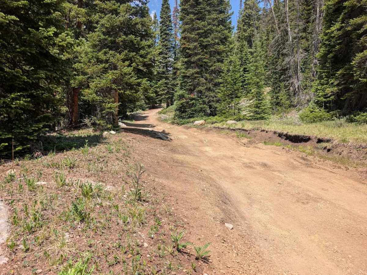 McNasser Gulch 4WD Road photo 6