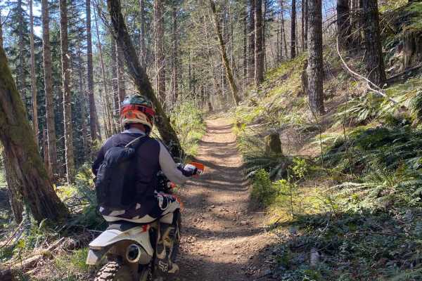 Trail 45 Log Jam - Leg 2