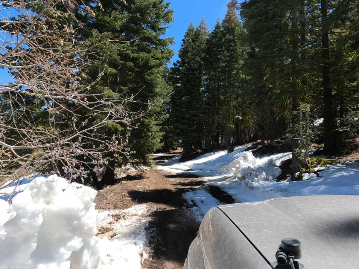 Sugarpine Spur A - NF22N55A photo 5