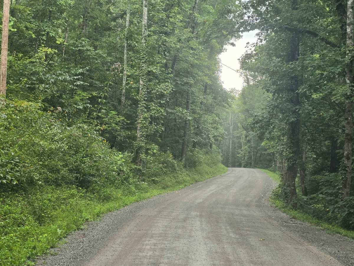 Stinking Creek Road photo 4