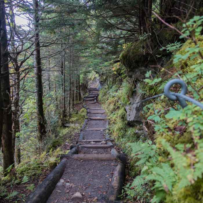 Near Mount LeConte via Trillium Gap + Boulevard Trail Near Mount LeConte via Trillium Gap + Boulevard Trail