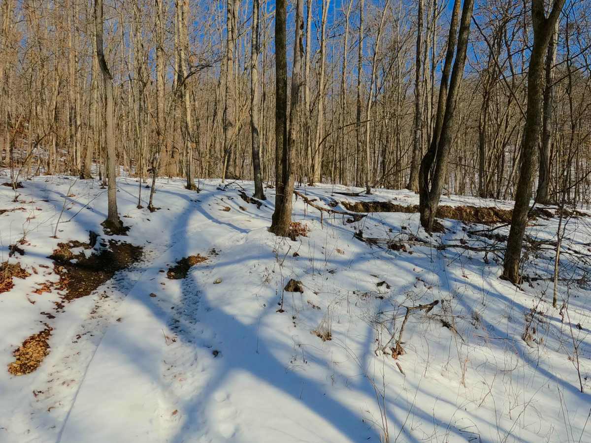 Sutton Bluff ATV 13 - SB 13 photo 3