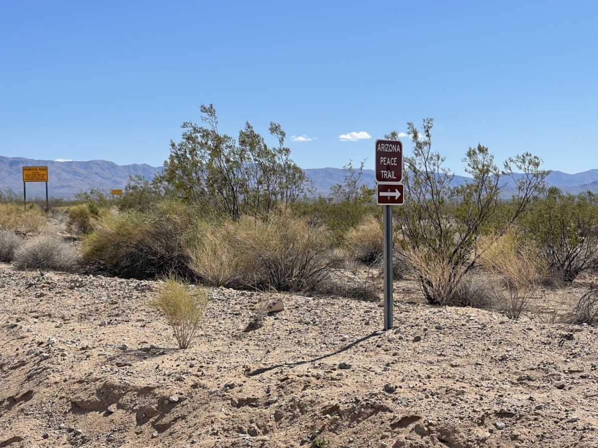 New Alamo Road photo 6