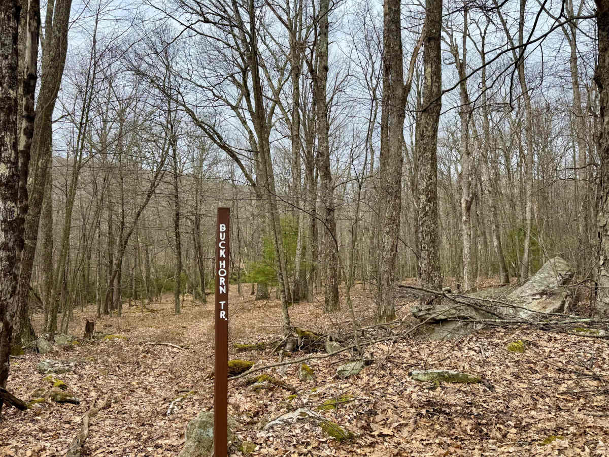 Rock Run Road photo 5