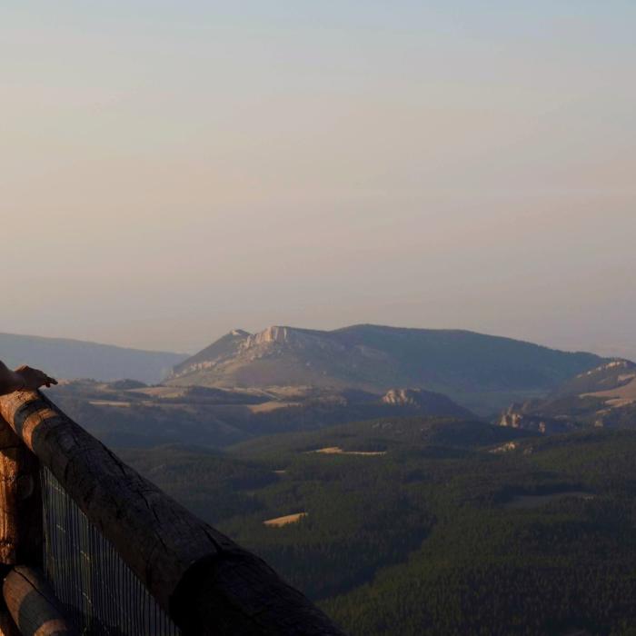 Near Black Mountain Lookout