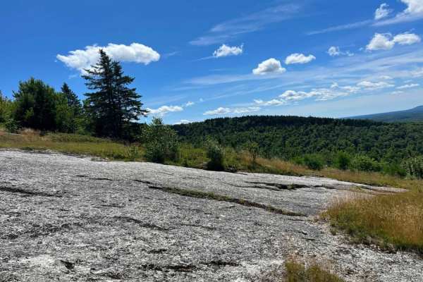 Bald Mountain
