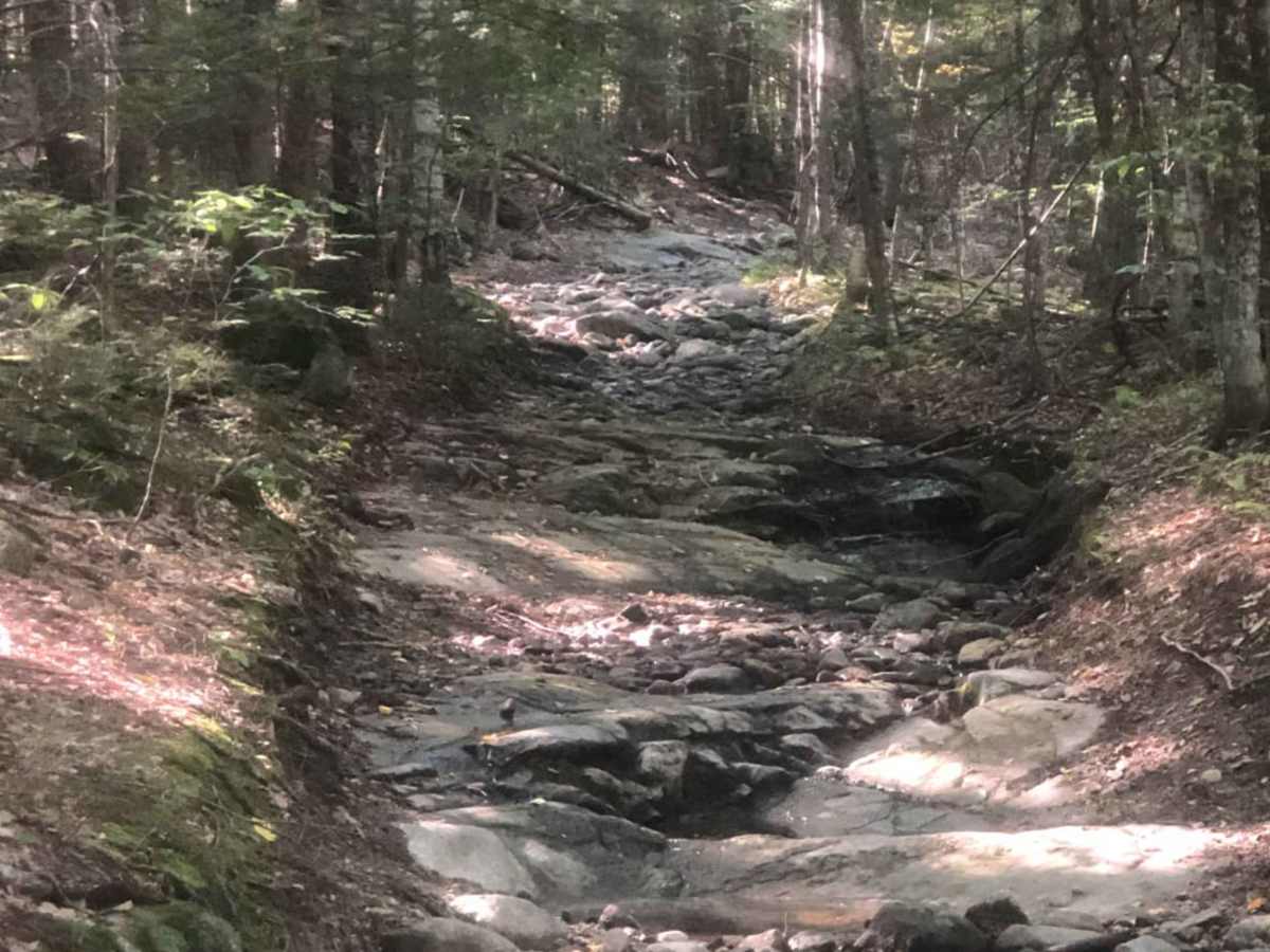 Cobble Hill Road Trail photo 4
