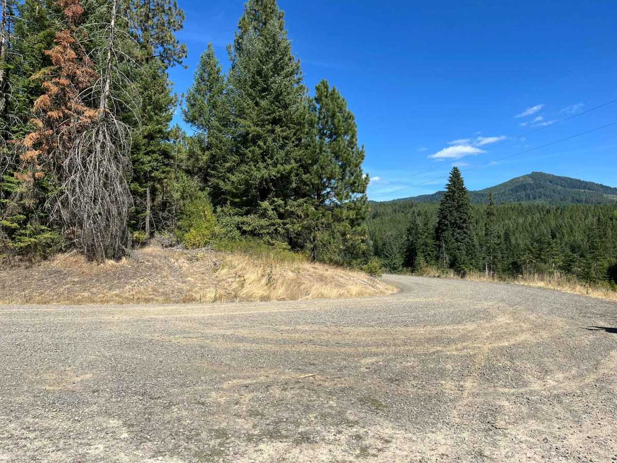 Gold Hill - FS 770 photo 2