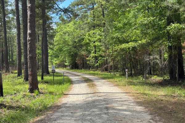 Pond 6a Road