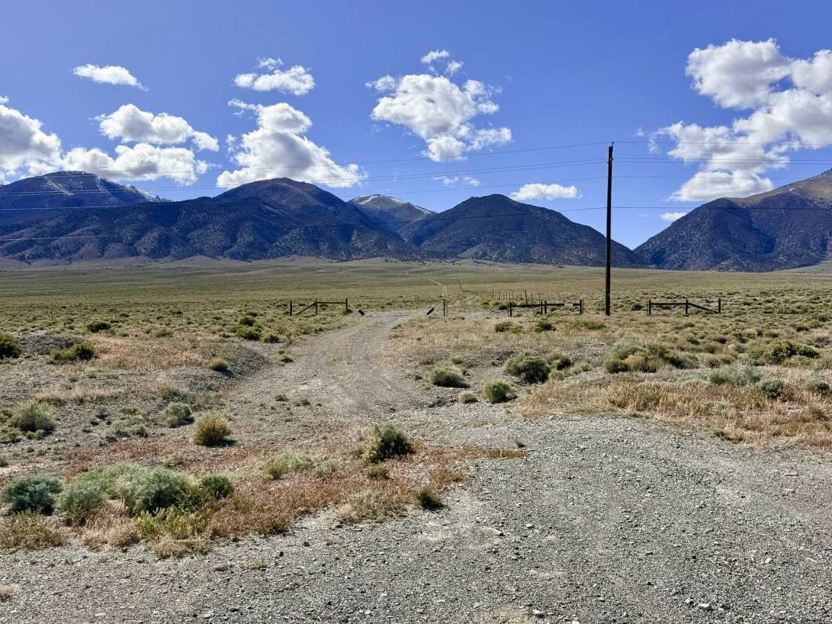Foothill Loop trail photo