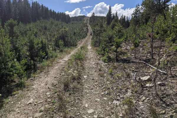 Ferrell East Access