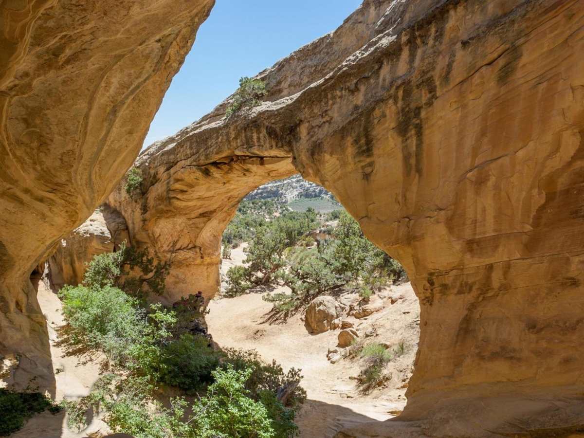 Red Mountain Moonshine Arch trail photo