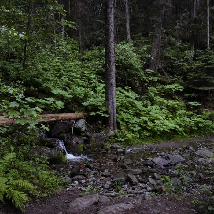 Near Quartz Lake Loop
