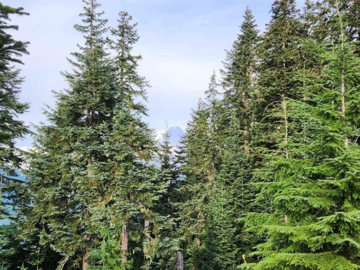 ZigZag Canyon trail photo