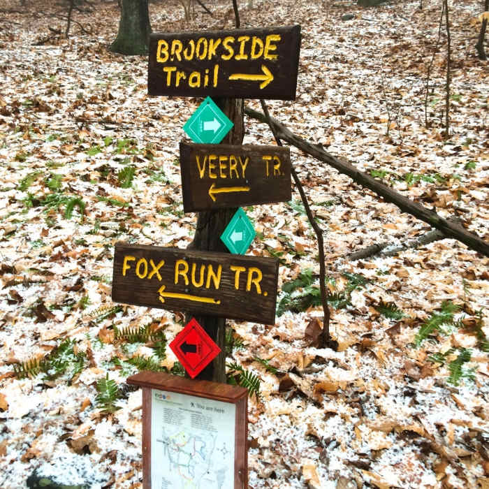 Near Westmoreland Sanctuary